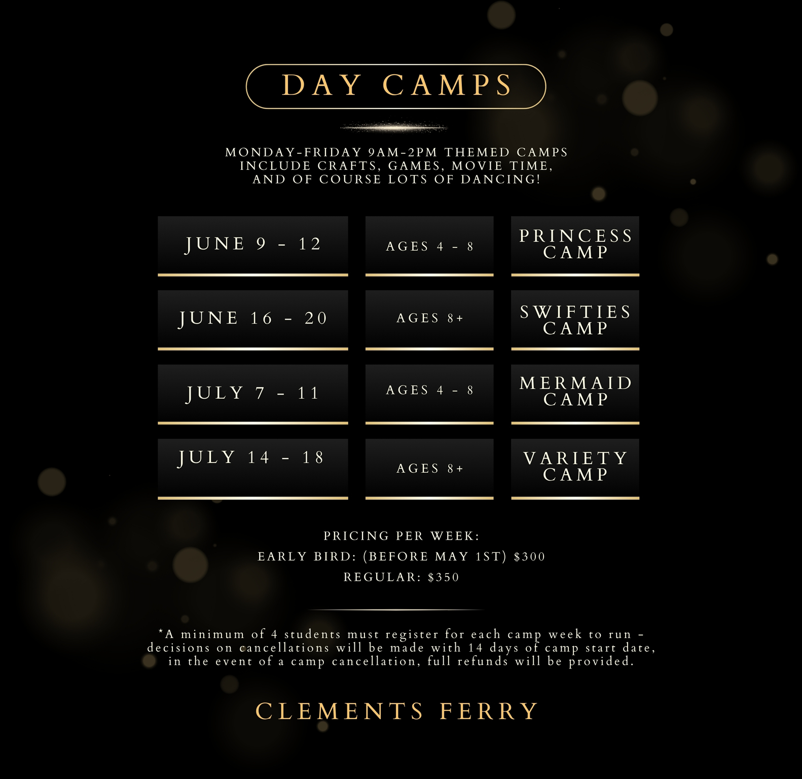 day camps